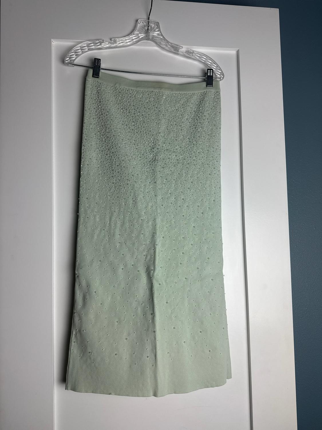 Light green skirt embellished with bright rhinestones, hanging on a transparent hanger against a white door.
