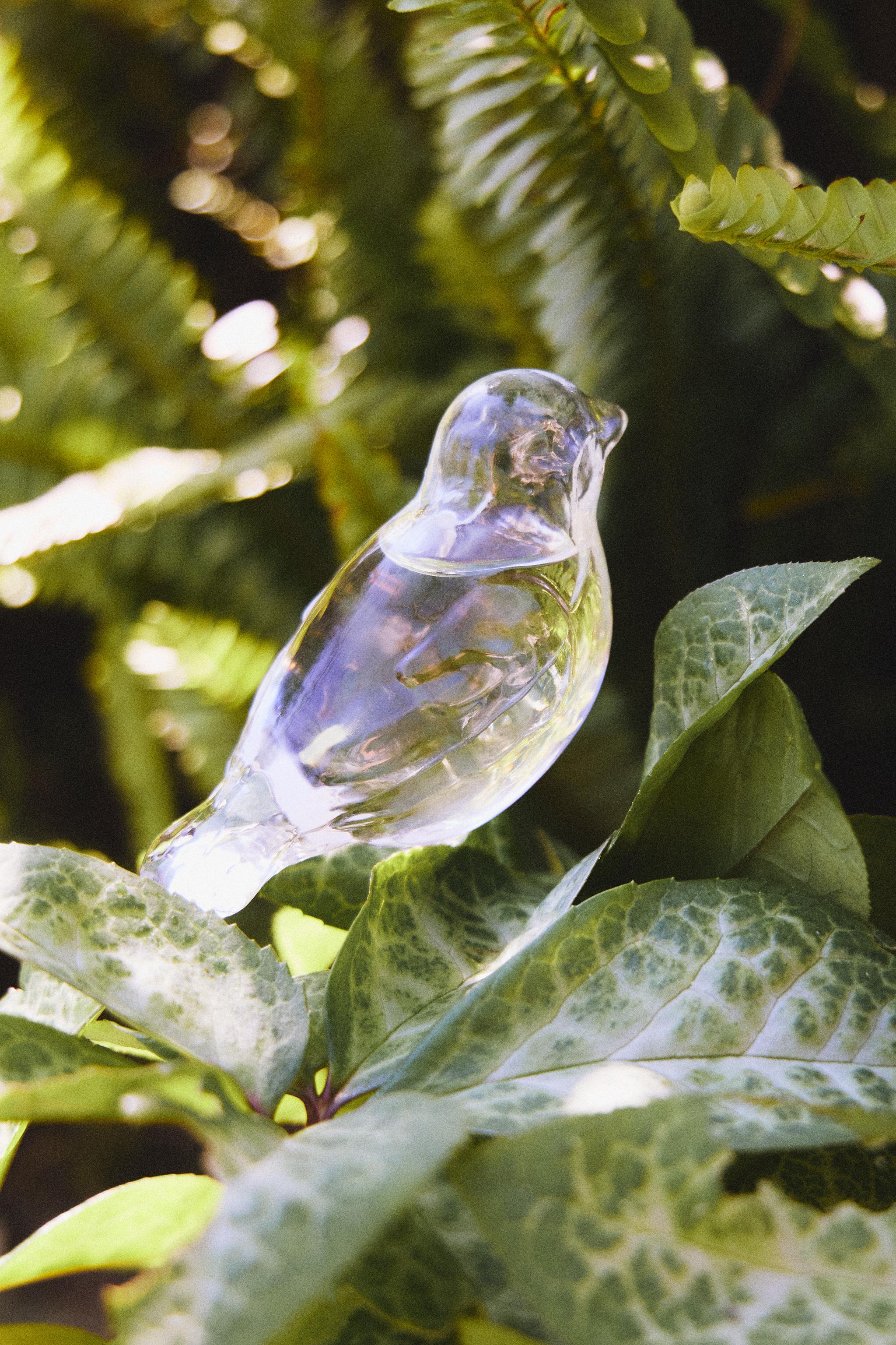 BIRD-SHAPED SELF-WATERING GARDEN BUBBLE - Transparent | ZARA