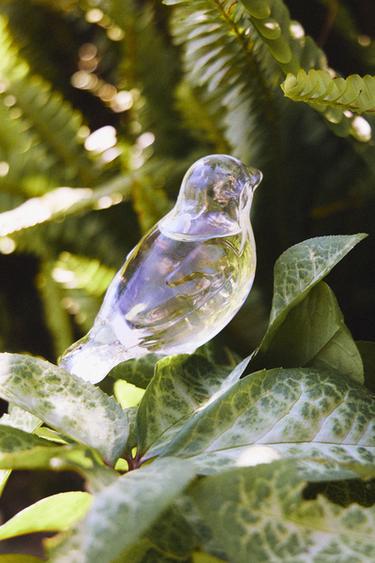 BULLE ARROSAGE OISEAU JARDIN - Transparent de Zara - Image 5