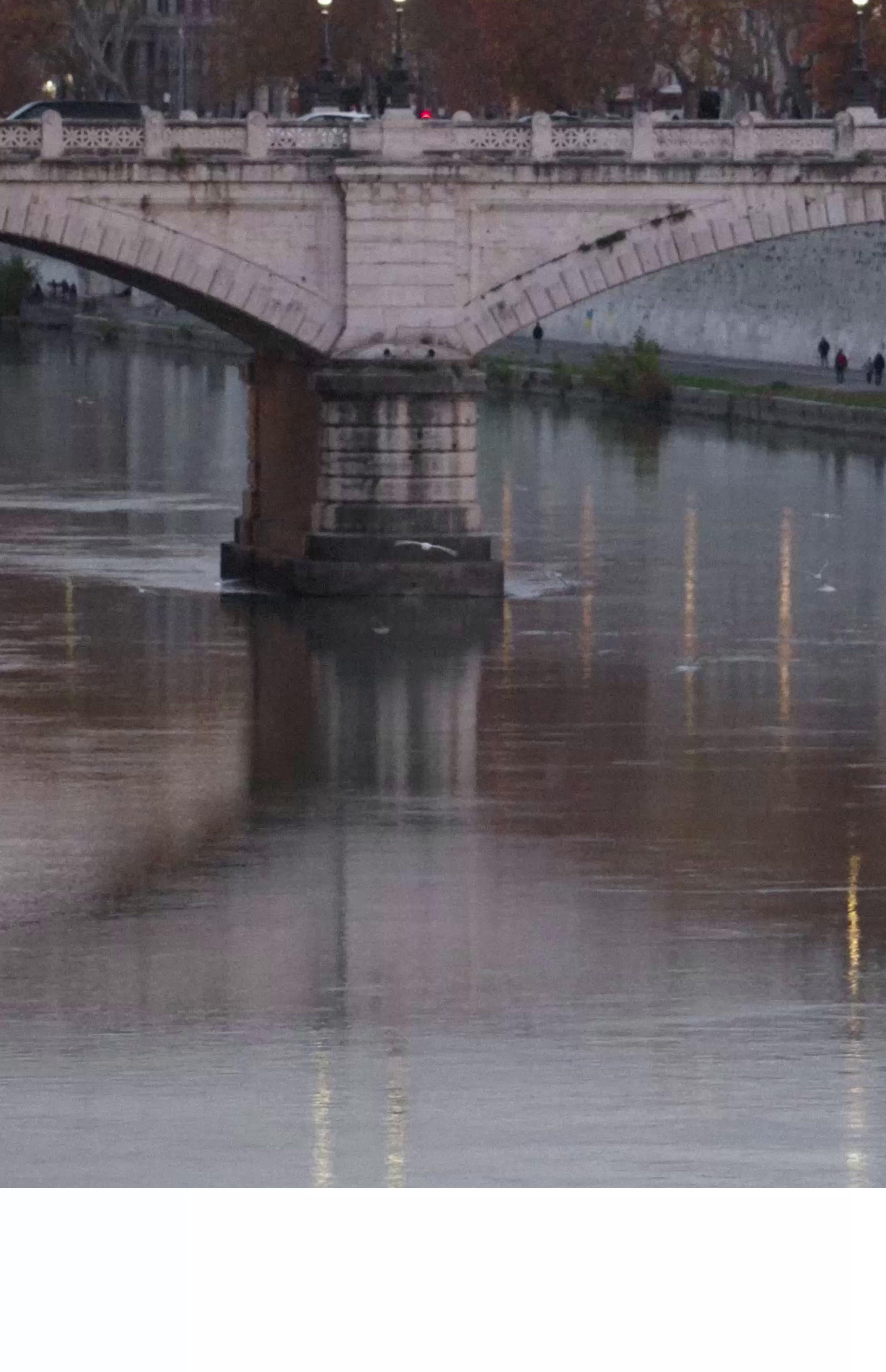 ZARA Japan / 日本 | 最新コレクション