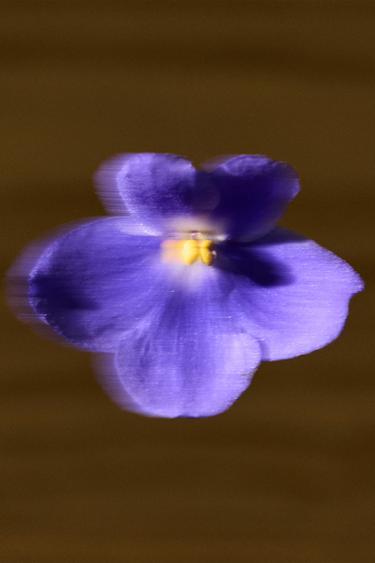 VIBRANT LEATHER VIOLET ELIXIR 60 ML / 2.03 oz -  by Zara - Image 0