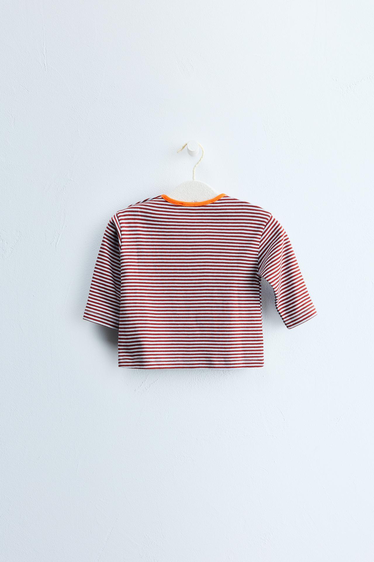 Zara Timeless - Striped Print T-Shirt — Maroon