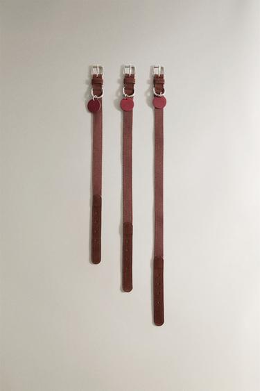 COLLAR PIEL MASCOTAS - Burgundy de Zara - Imagen 0