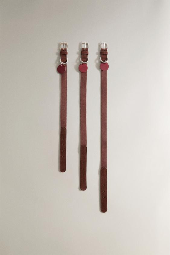 LEDER-HAUSTIERHALSBAND - Burgundrot von Zara - Bild 0