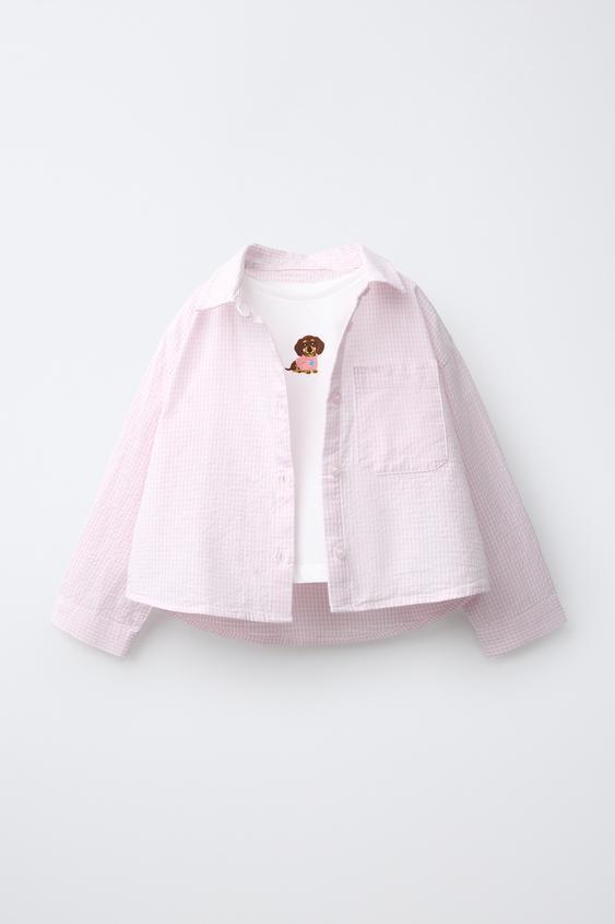 SET AUS GESTREIFTEM HEMD UND T-SHIRT MIT HUNDESTICKEREI - Rosa von Zara - Bild 0