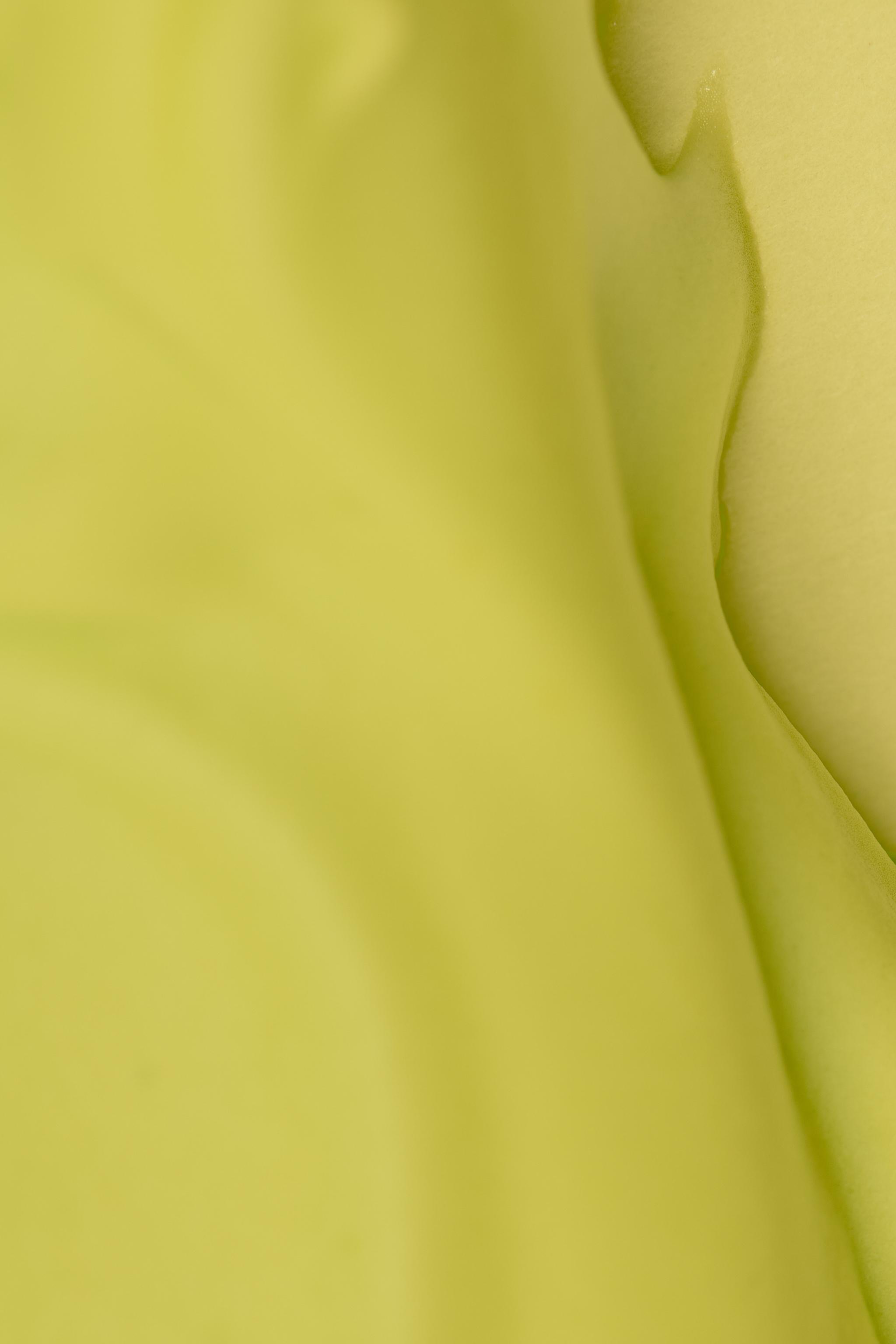 PISTACHIO BUTTER EDT 90ML (3.04 FL. OZ).