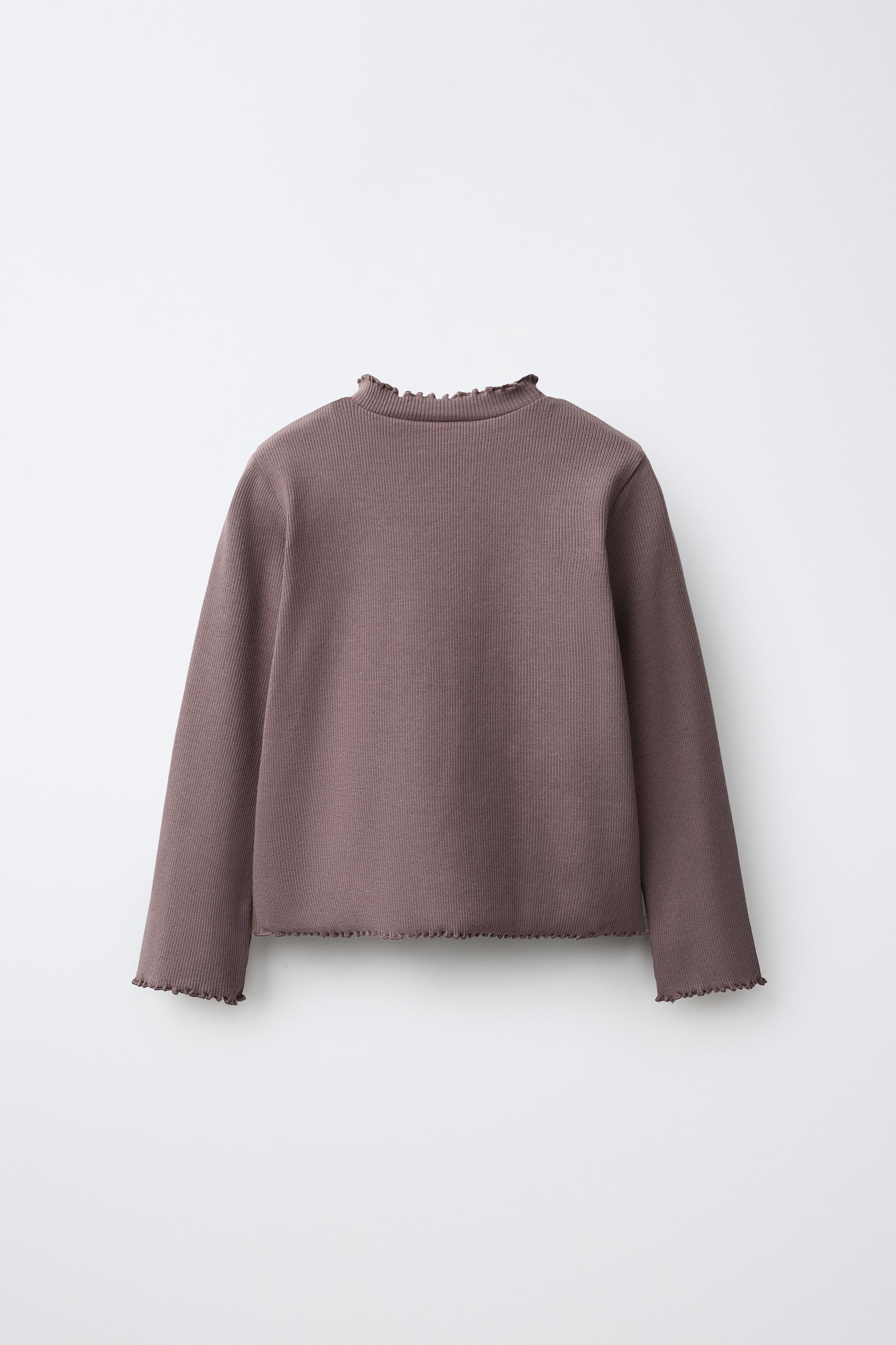 EMBROIDERED RIBBED T-SHIRT - Eggplant | ZARA United States