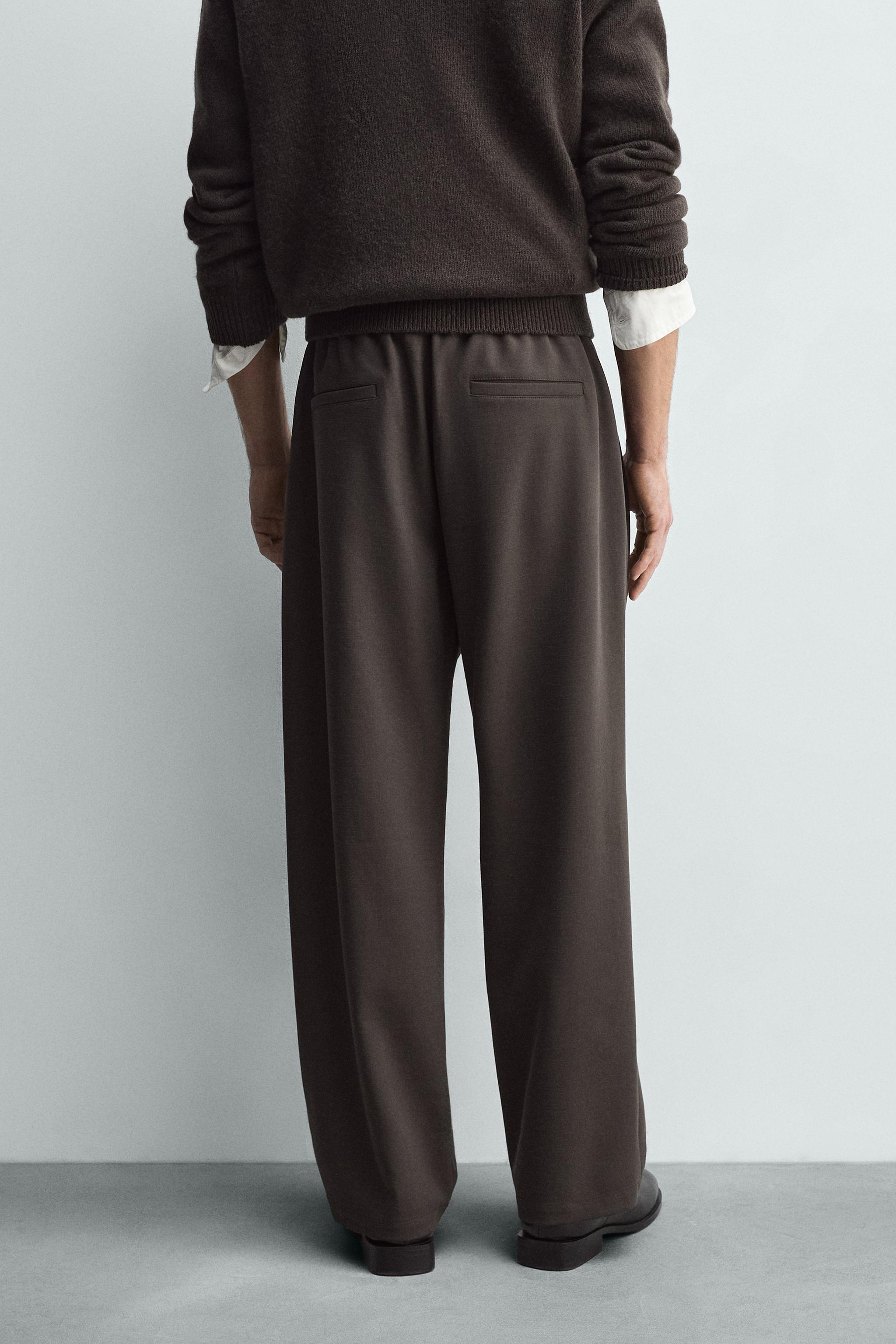 プリーツ入りリラックスフィットパンツ - サンド | ZARA Japan / 日本