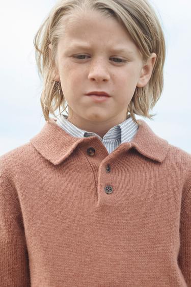 POLO EN MAILLE 100 % LAINE ÉDITION LIMITÉE - Tuile de Zara - Image 1