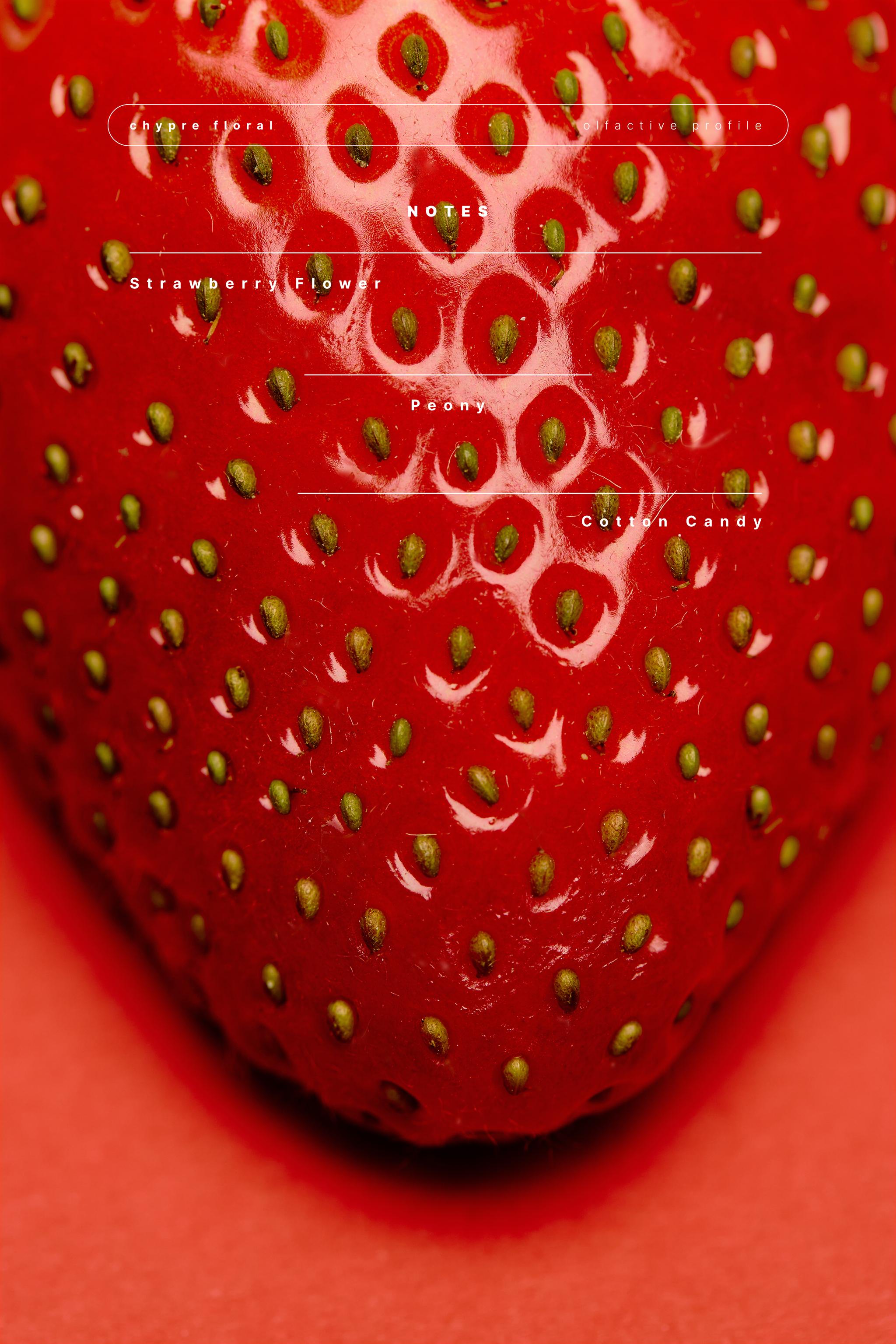 STRAWBERRY DRESS EDT 90ML (3.04 FL. OZ).
