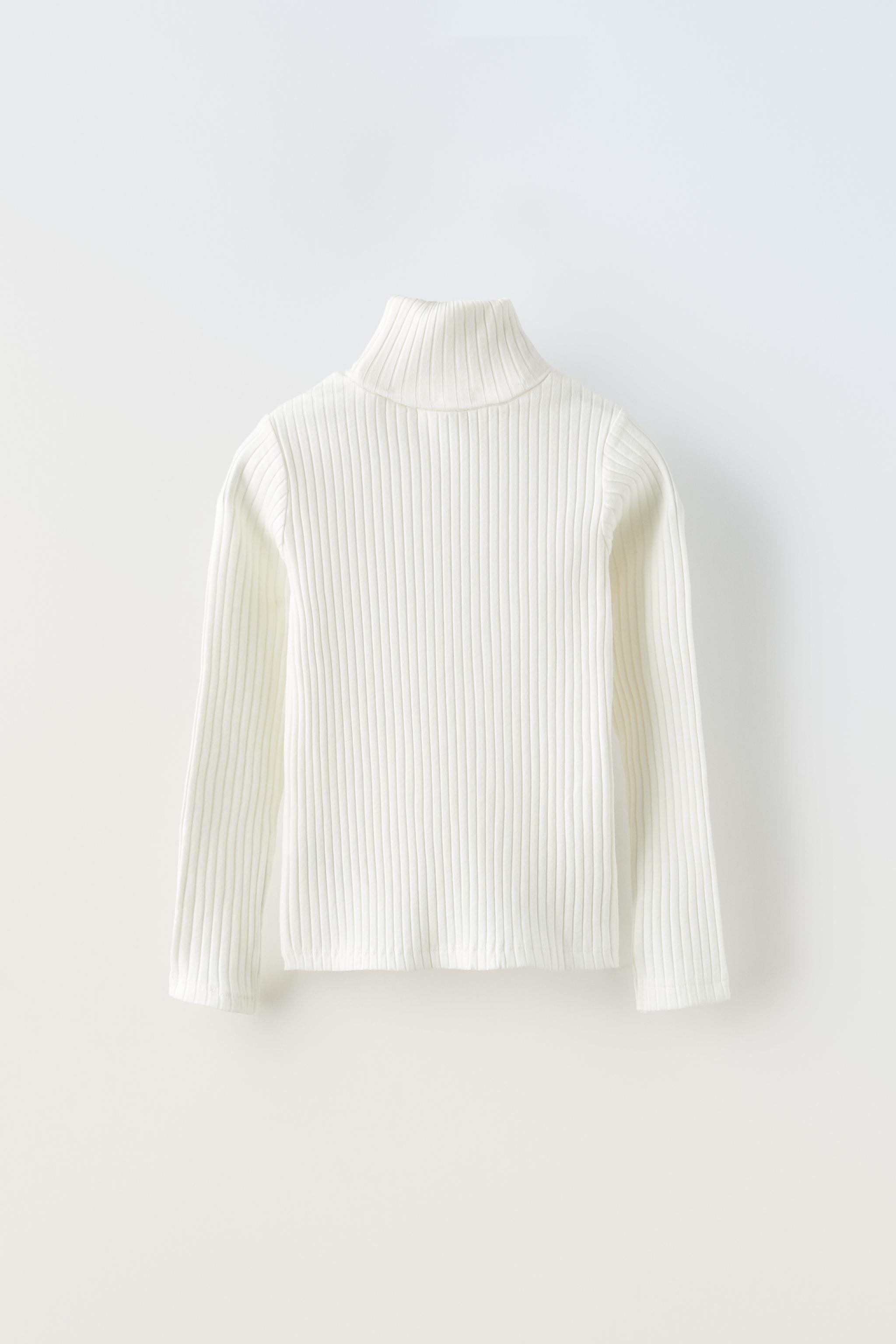 Zara roll neck clearance sweater