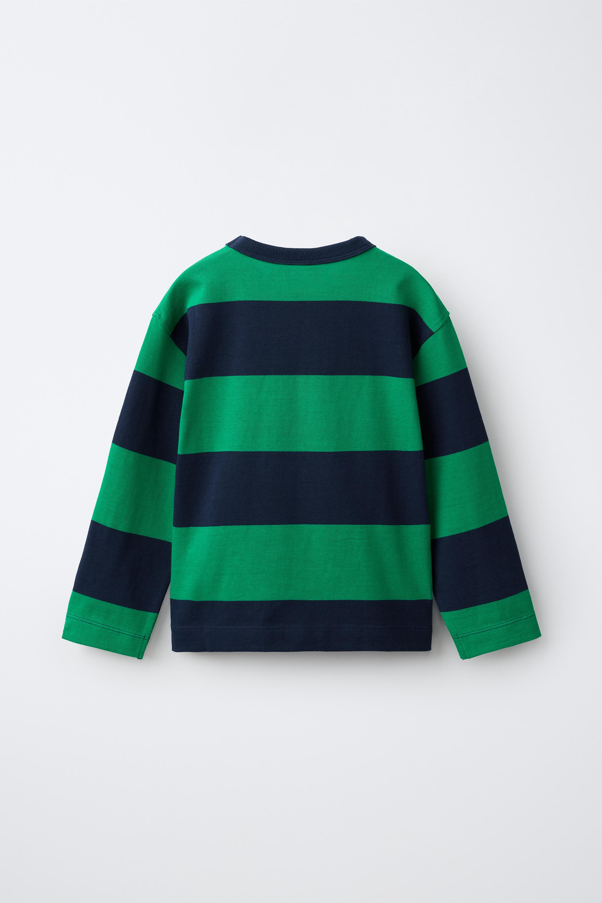 ストライプ柄ヘビーウェイトTシャツ - グリーン | ZARA Japan / 日本