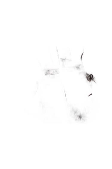 Very overexposed black and white image. It shows faint traces suggesting the silhouette of a garment against a white background.