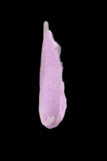 MIDNIGHT TRICK TINTED GLOSS - 2-474 by Zara