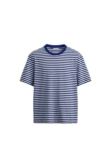 MAGLIETTA REGULAR FIT JACQUARD A RIGHE - Bianco / Marino di Zara