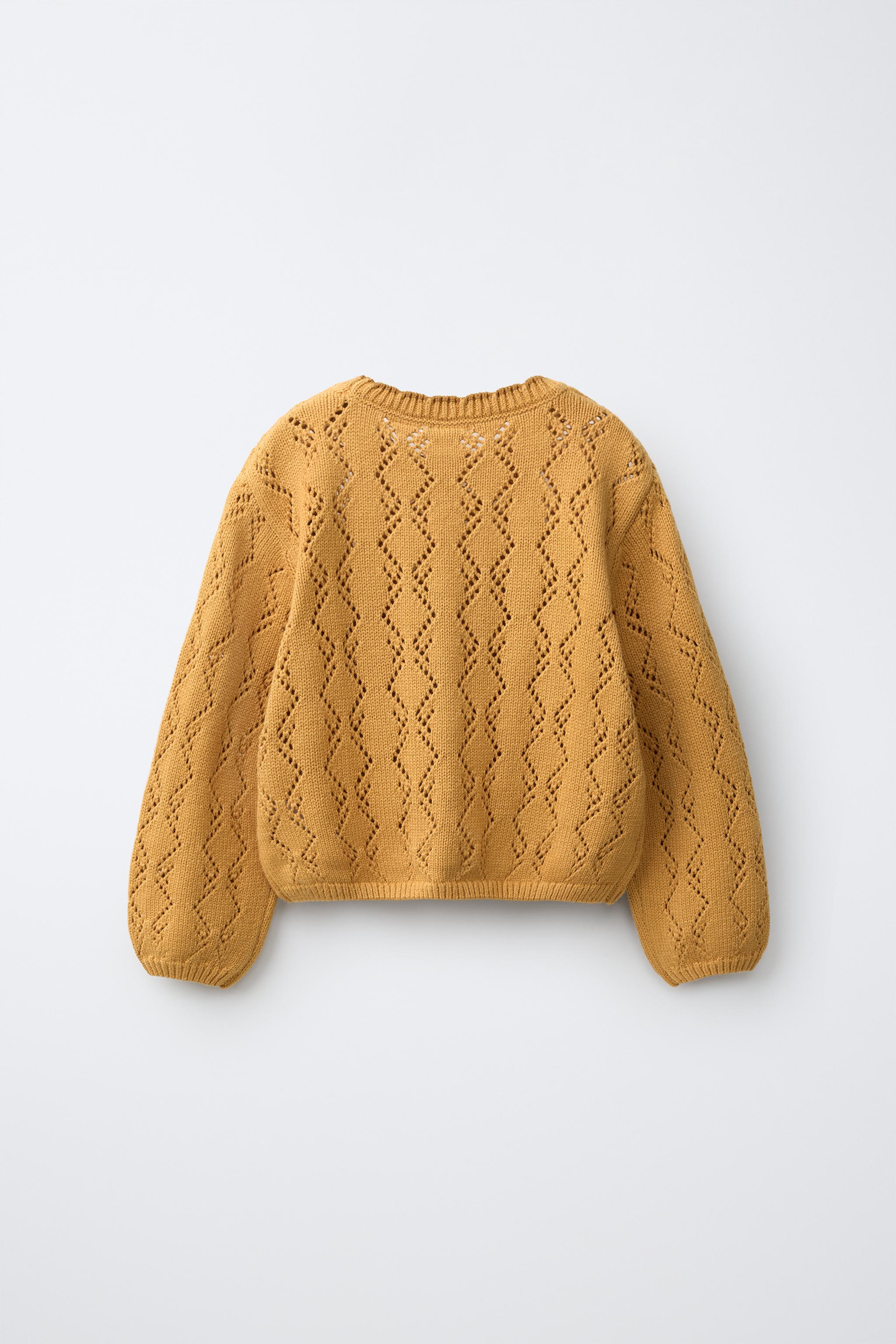 フラワー刺繍オープンニットセーター - マスタード | ZARA Japan / 日本