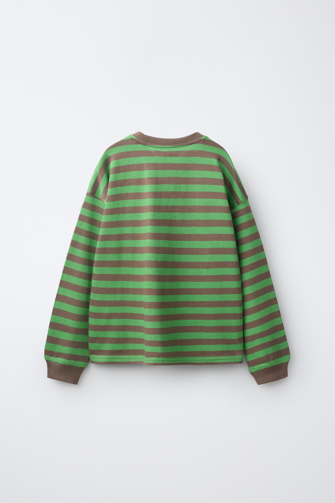 HEAVYWEIGHT STRIPED T-SHIRT — Brown / Green