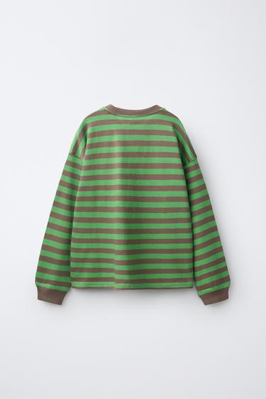 HEAVYWEIGHT STRIPED T-SHIRT — Brown / Green 2