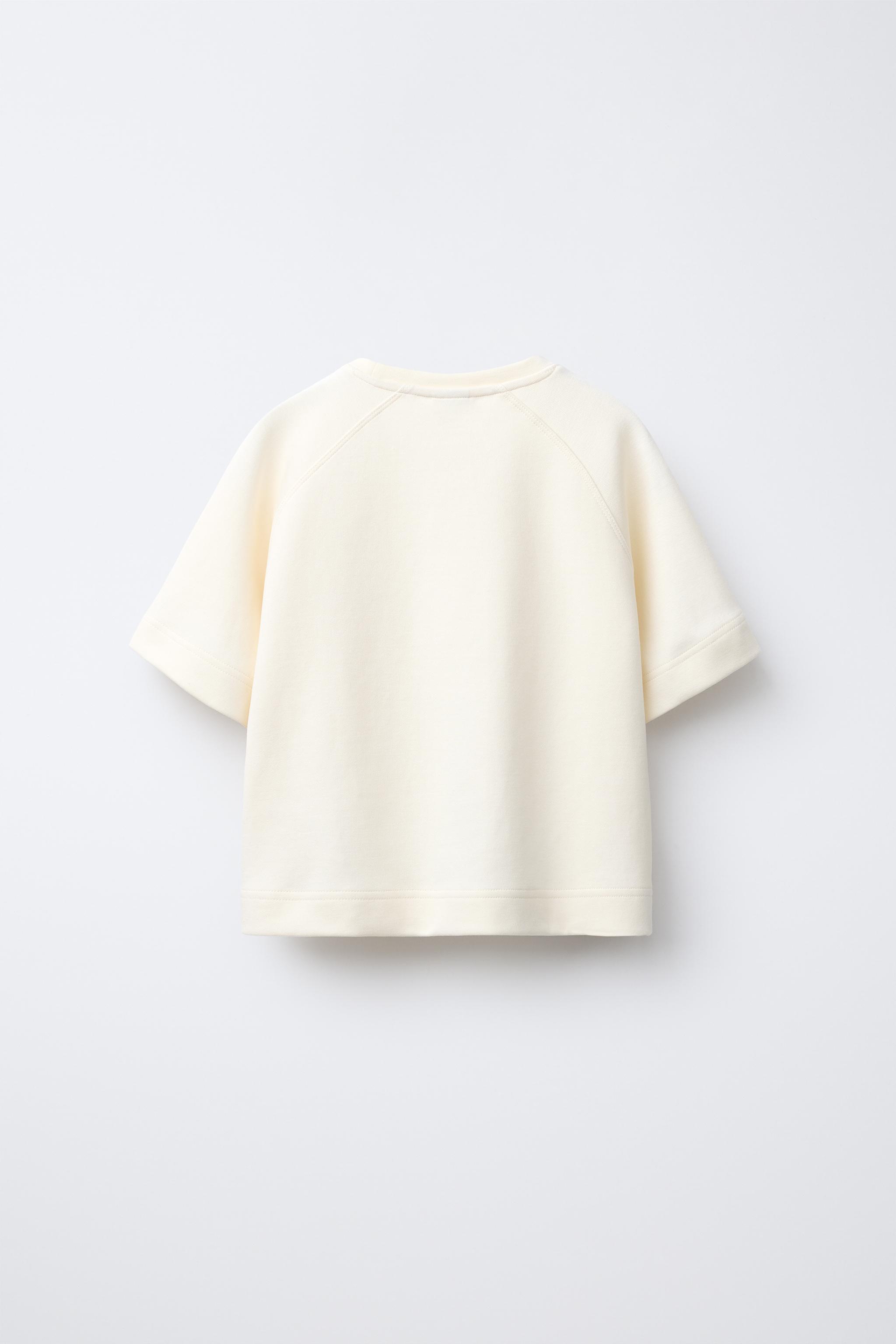 BASIC RAGLAN SLEEVE T-SHIRT