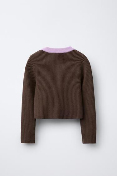 PULL CANNELÉ COL CONTRASTE CHAMPION ® X ZARA - Marron chocolat de Zara - Image 1