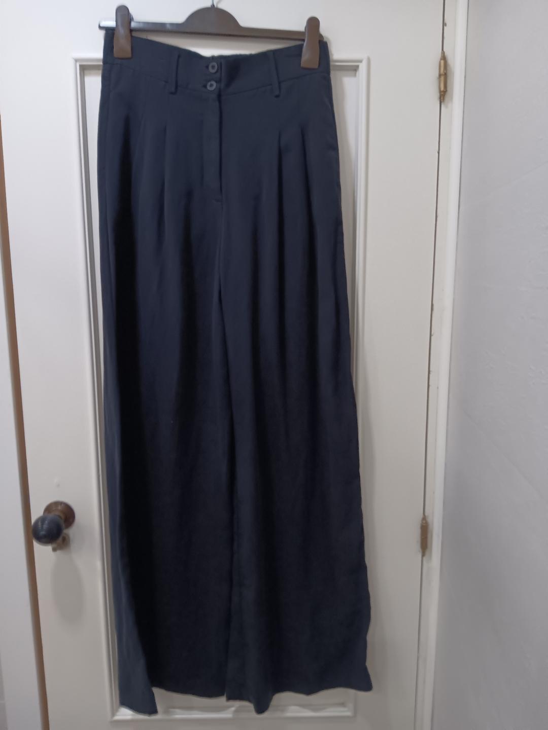 Dark wide-leg pleated trousers with a double button fastening, hanging on a wooden clothes hanger over a white door.