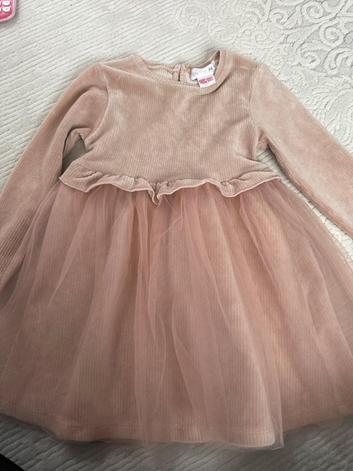 Front view of pink dress with tulle skirt and long sleeves.