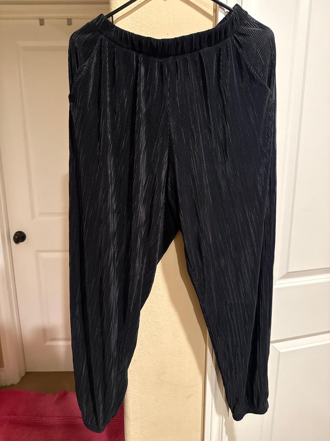 Black pleated pants hanging on a hanger, with a white door background and a red carpet.