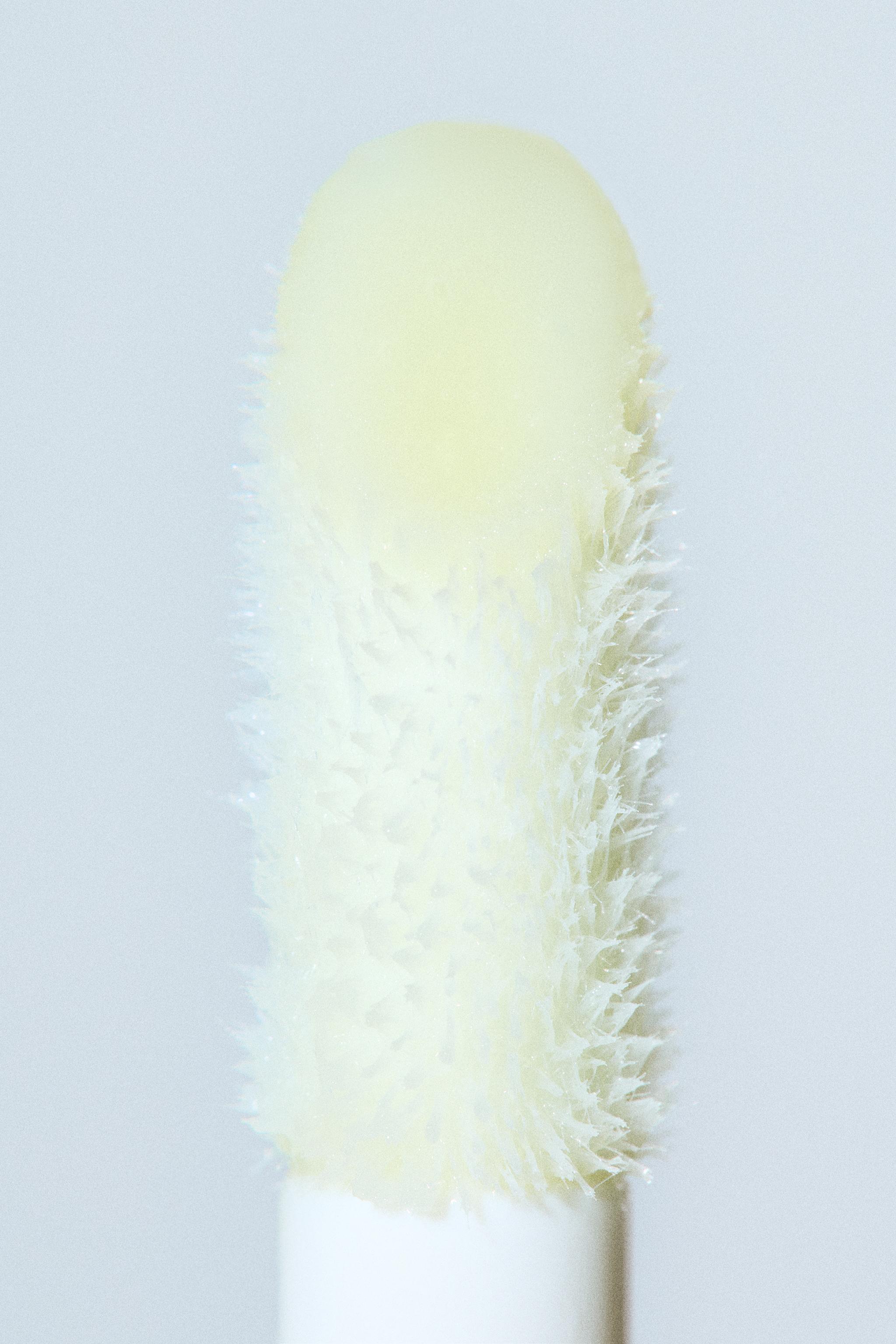 ZARA LIP OIL IMMORTAL VANILLA