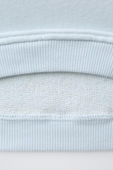 SWEAT CHIEN EN VELOURS BOUCLÉ - Bleu clair de Zara - Image 3