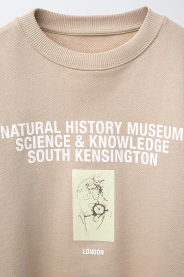 NATURAL HISTORY MUSEUM LONDON © PRINT SWEATSHIRT - Beige-brown by Zara - Image 2