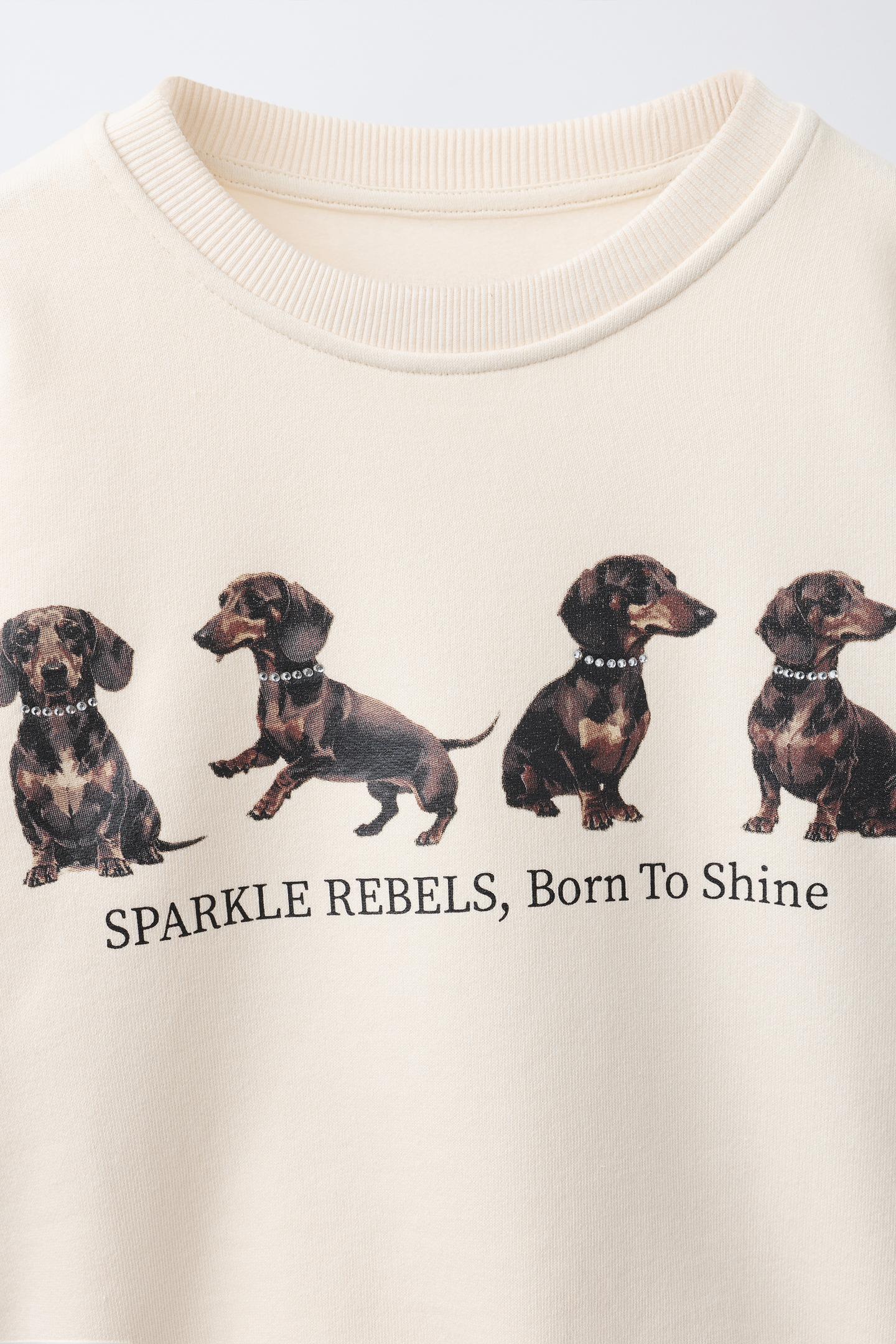 Детская толстовка Zara Dog Print, цвет: Экрю — фото 3