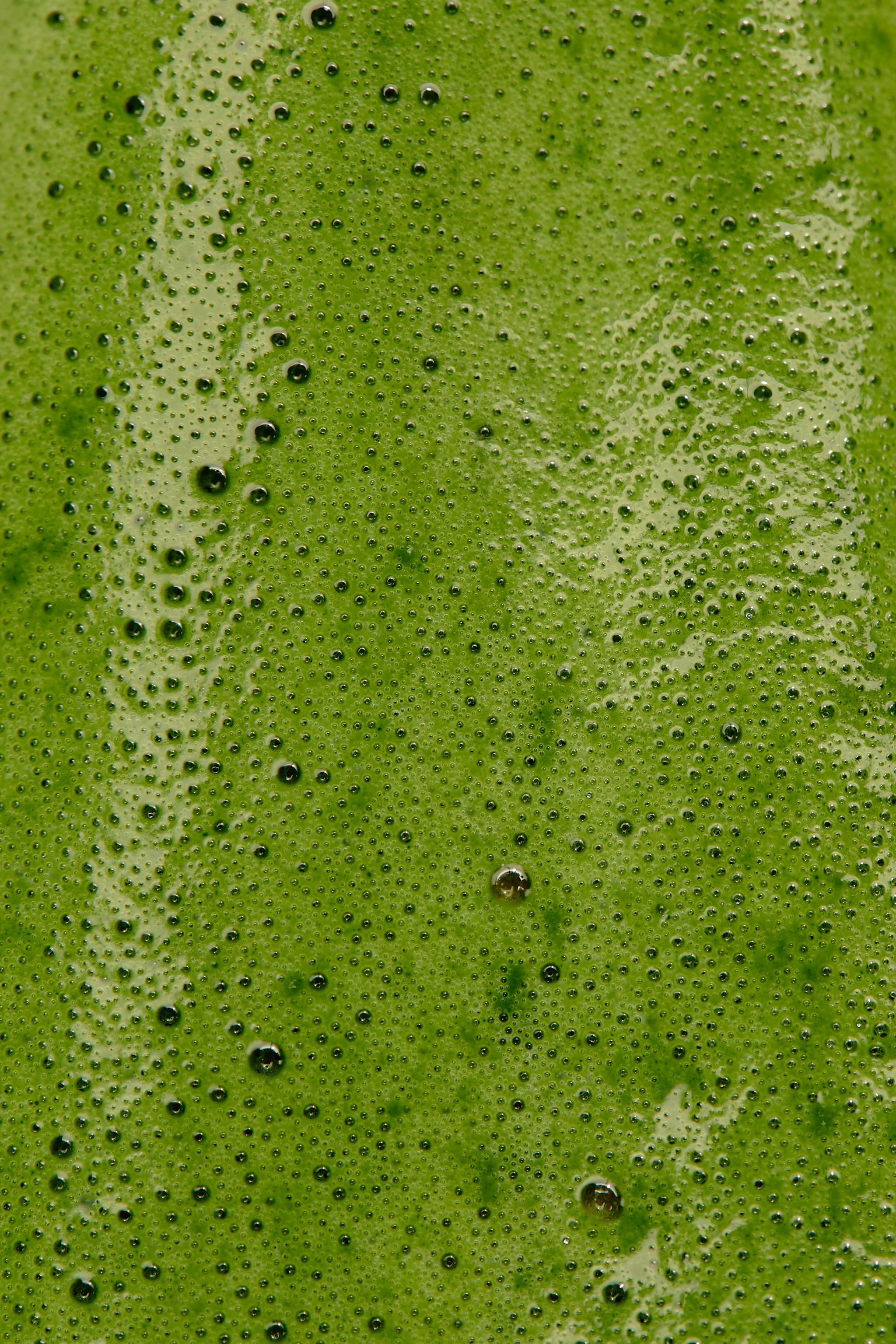 SWEET MATCHA DAY EDT 90 ML (3.04 FL. OZ)