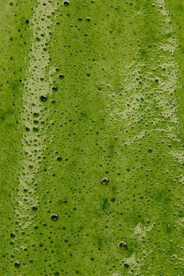 SWEET MATCHA DAY EDT 90ML / 3.04 oz -  by Zara - Image 2