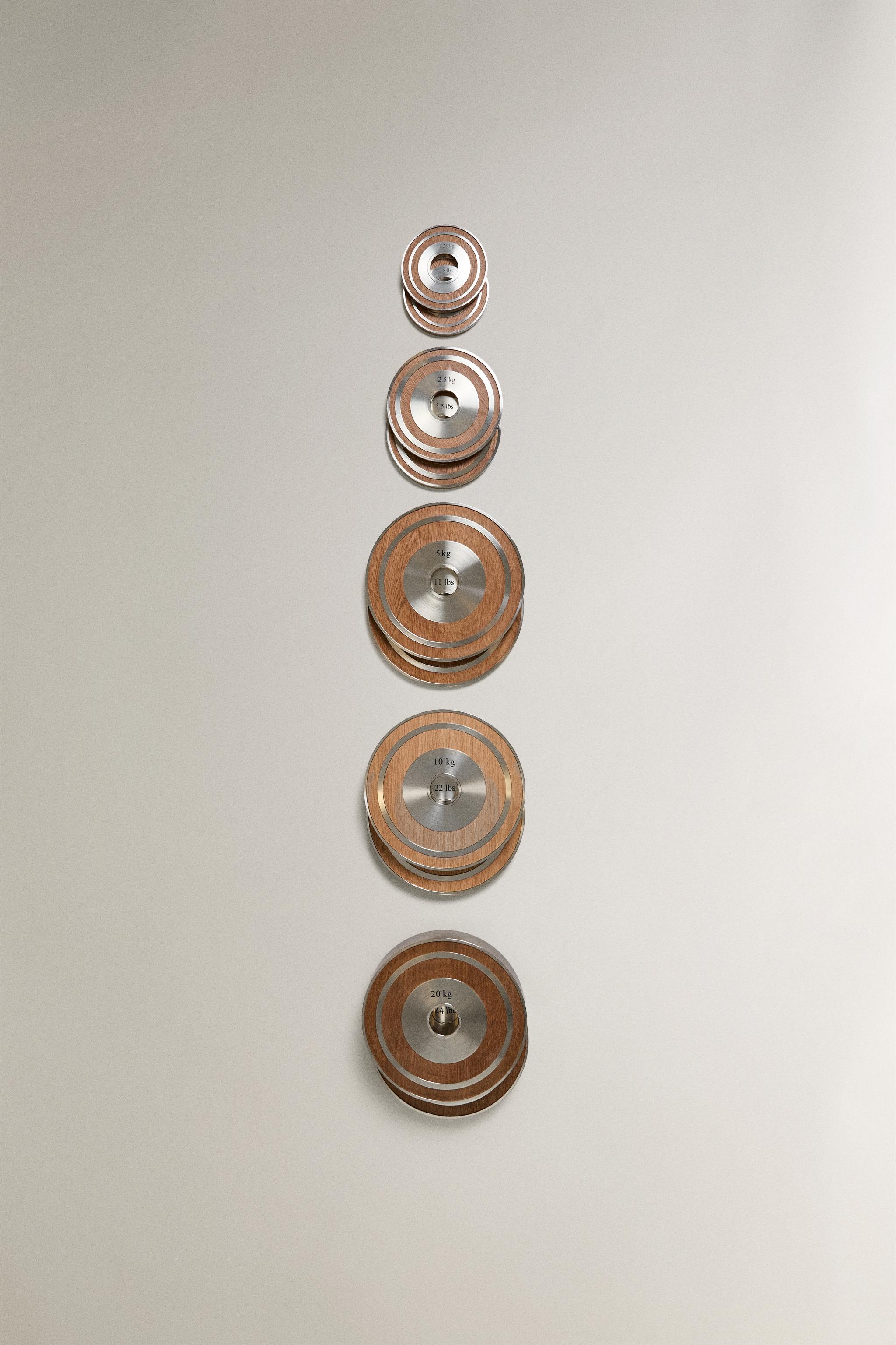 WOODEN DISC WEIGHT SET (SET OF 2) - Matte silver | ZARA Canada