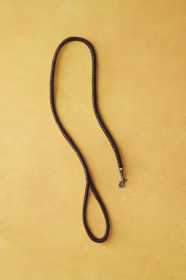 LAISSE CUIR TRESSE CHIENS - Marron de Zara - Image 5