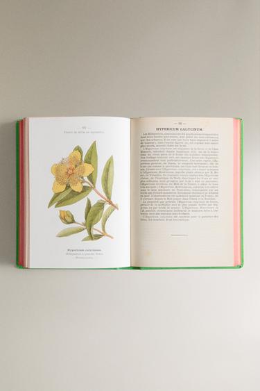 ATLAS DE POCHE DES ARBUSTES ET ARBRISSEAUX BOOK - Green by Zara - Image 4