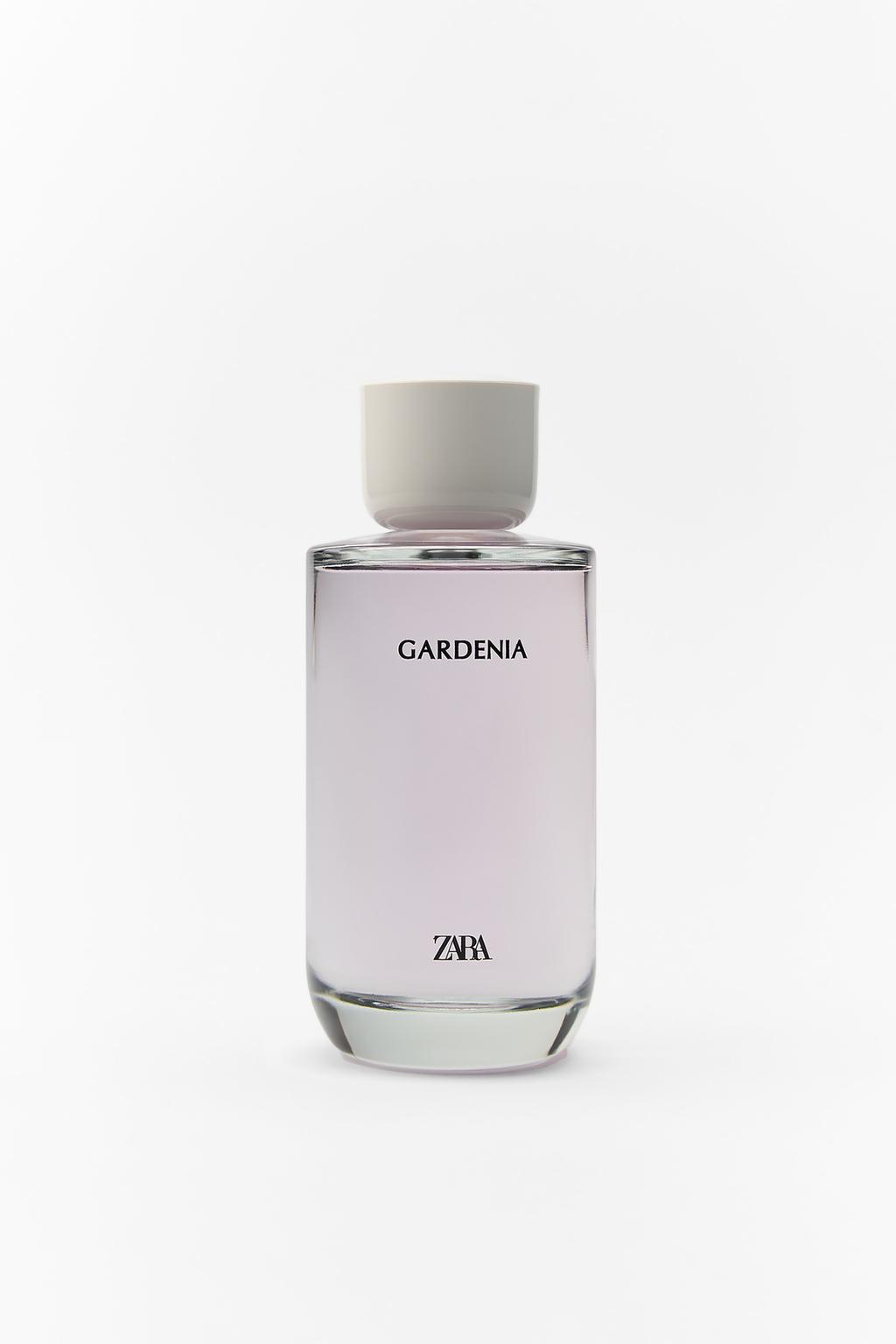 zara perfume dupes