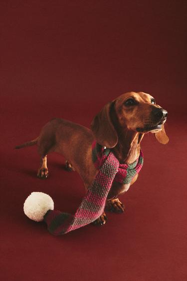 ÉCHARPE RAYÉE ANIMAUX NOËL - Rouge de Zara - Image 4