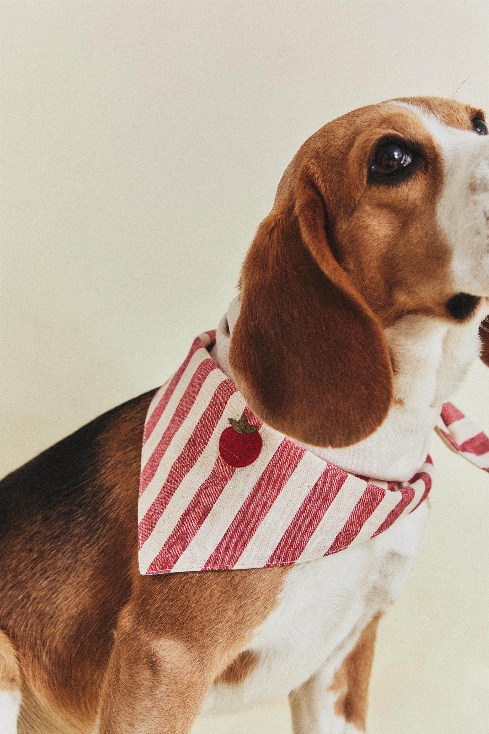 BANDANA RAYÉE TOMATE POUR ANIMAUX
