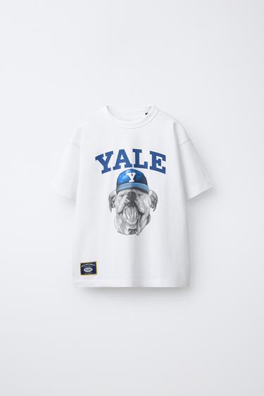 CAMISETA PERRO YALE UNIVERSITY™ - Blanco de Zara - Imagen 0