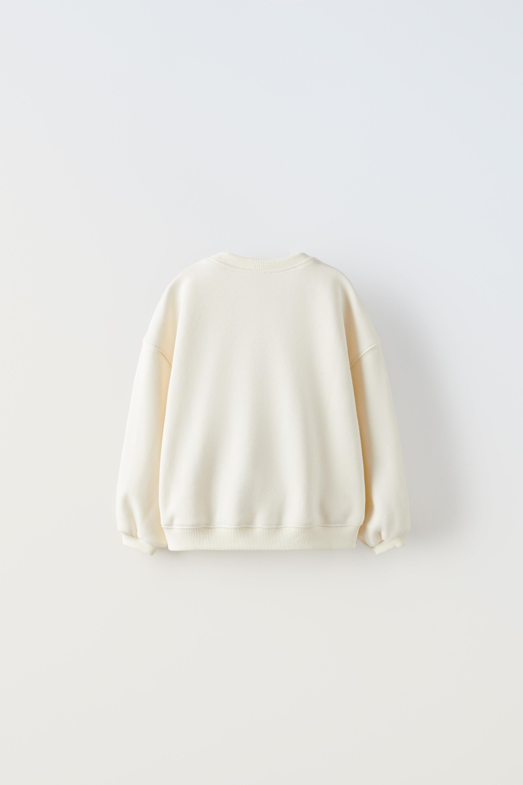 Zara knit sweatshirt 2024 with shimmer stripes