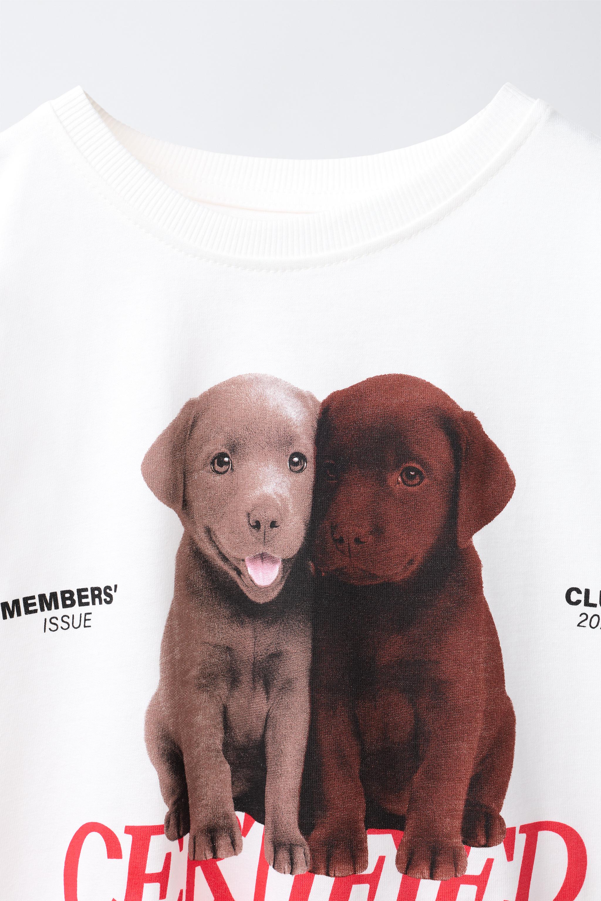 DOG PHOTOGRAPH T-SHIRT - White | ZARA South Africa