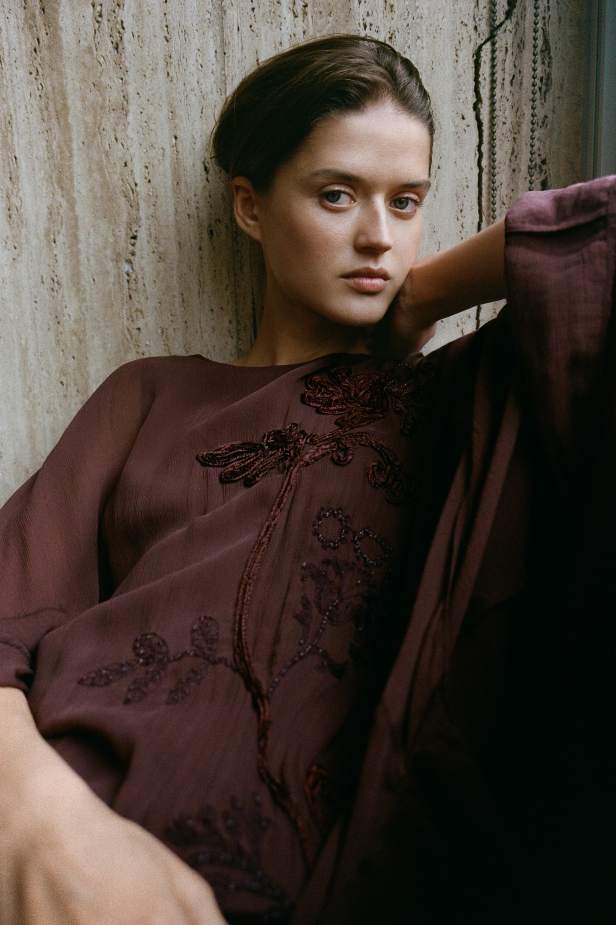 100% VISCOSE EMBROIDERED BEADED DRESS - Brown | ZARA United States 100% VISCOSE EMBROIDERED BEADED DRESS - Brown | ZARA United States