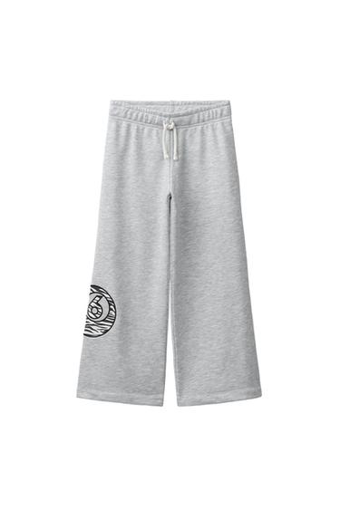 PLIŠASTE HLAČE S ŠIROKIMI HLAČNICAMI IN KROGLO ZA BILJARD - Lisasto siva od Zare