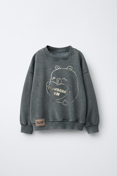 SHINY CAPYBARA CAPYFUN © SWEATSHIRT - Anthracite grey by Zara - Image 0