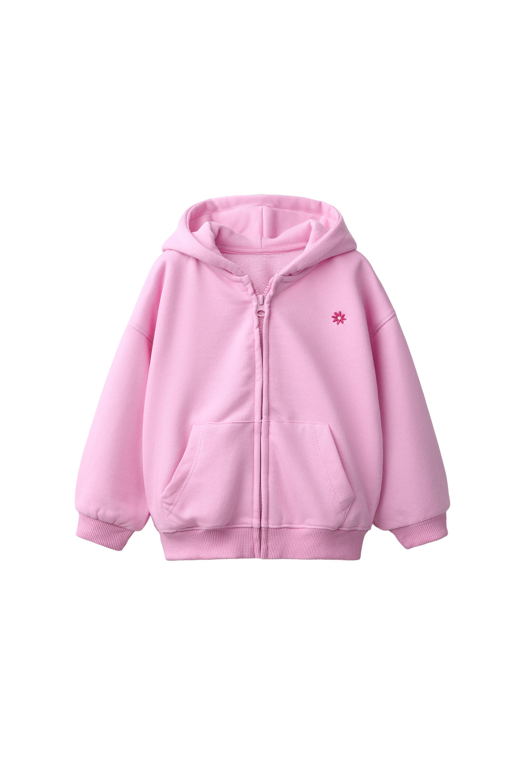 EMBROIDERED ZIP-UP HOODIE - Blue / Lavender | ZARA Curaçao / Curazao