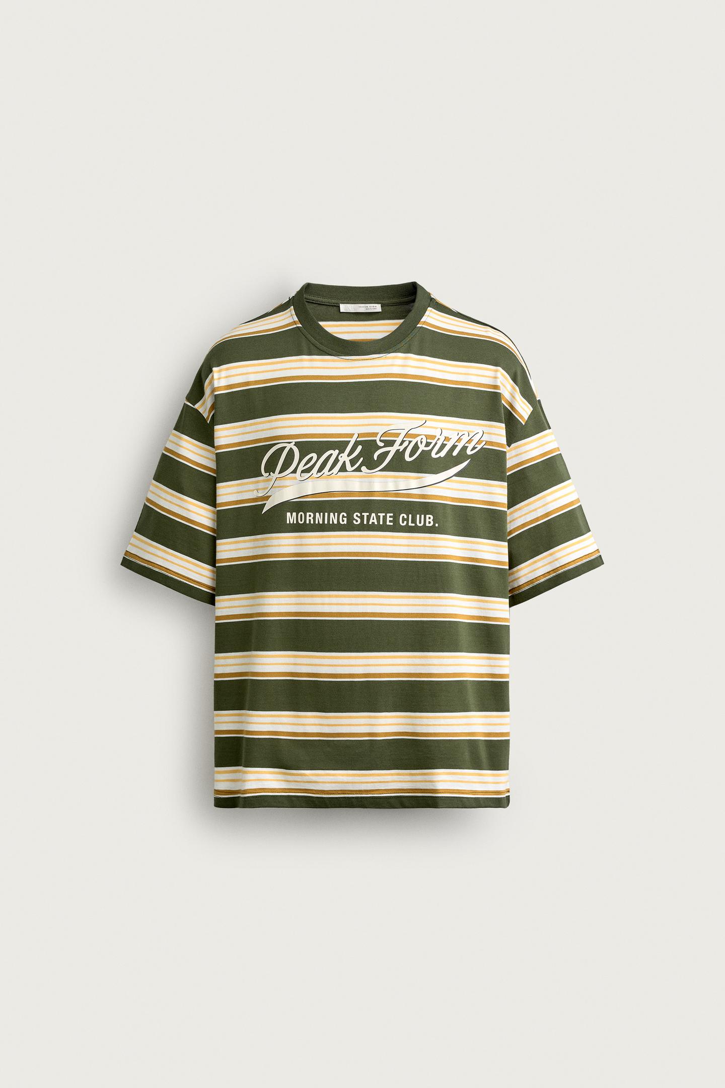 Мужская футболка Zara Relaxed Fit Striped Text, цвет: Зелёный полосатый — фото 6