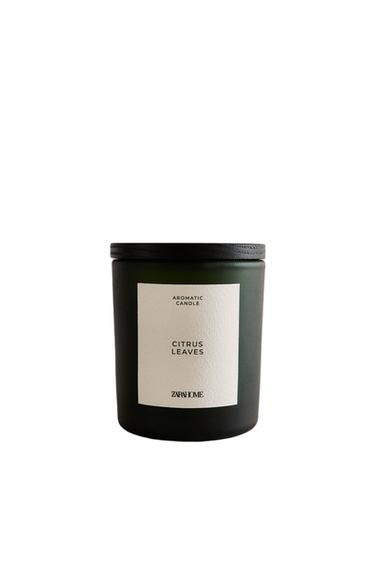 (120 G) VELA AROMÁTICA CITRUS LEAVES - Verde-médio da Zara