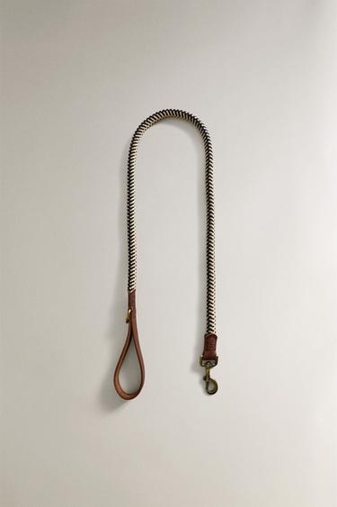 ΛΟΥΡΙ ΛΟΥΡΑΚΙΑ ΧΡΩΜΑΤΙΣΤΑ ΣΚΥΛΟΥΣ - Μπλε του Zara - Εικόνα 0