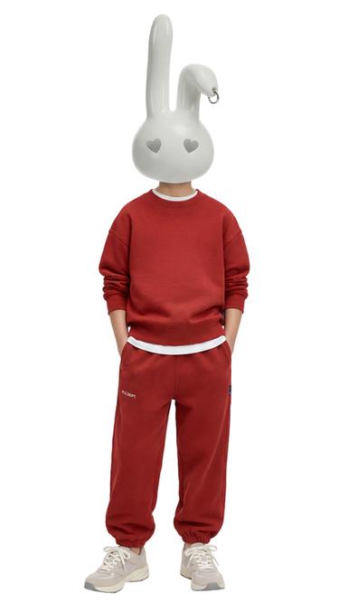 BASIC SWEATSHIRT WITH SLOGAN AND LABEL - Red by Zara